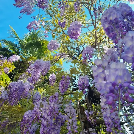 Giardin Sconto - Secret Garden Penzion