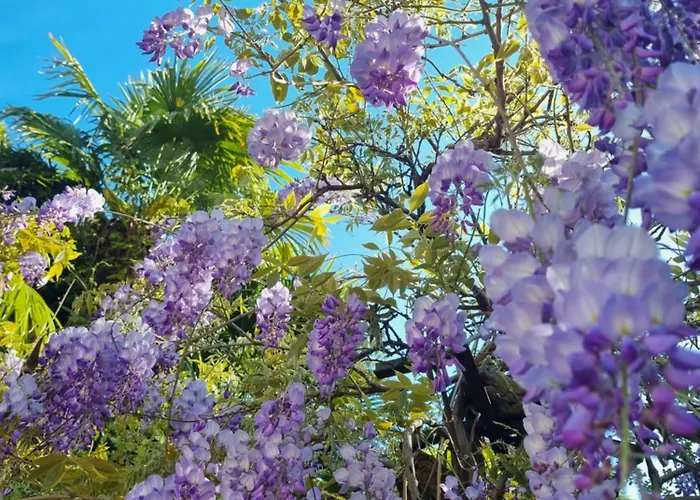 Giardin Sconto - Secret Garden Casa de hóspedes